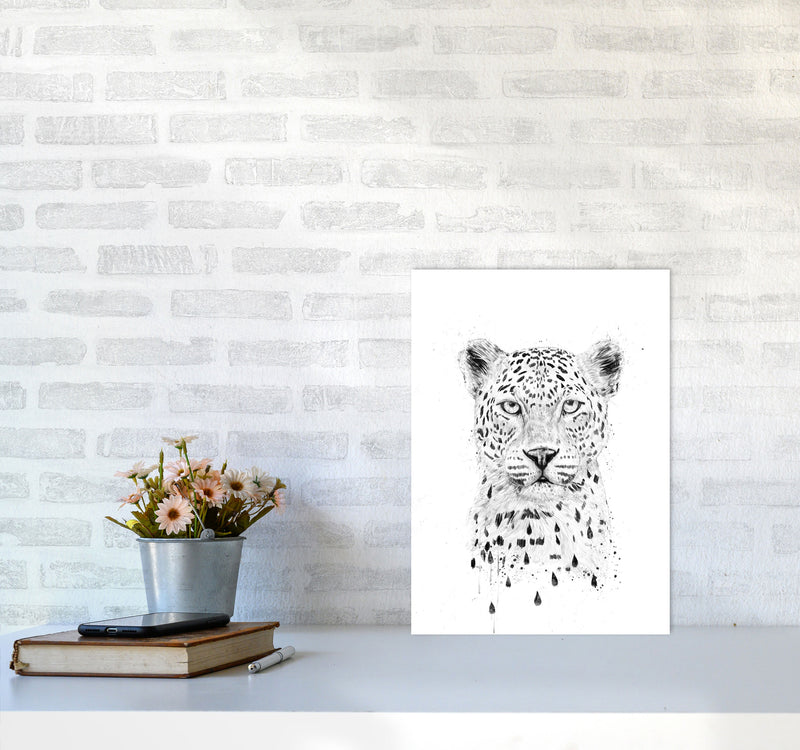 Raining Again Cheetah Animal Art Print by Balaz Solti A3 Black Frame