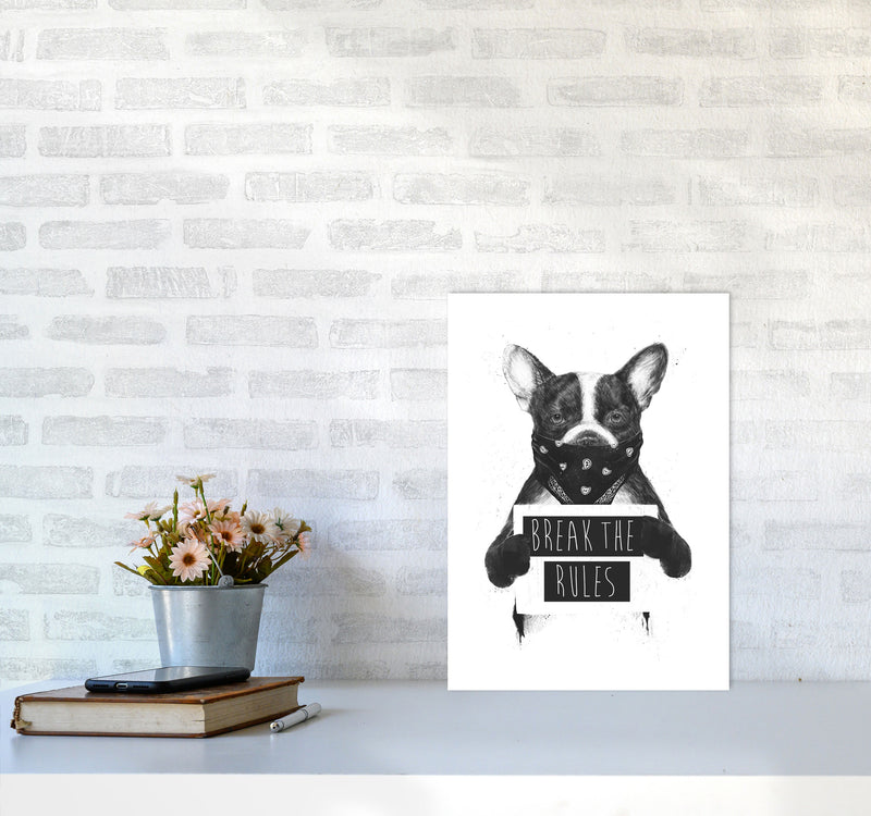 Rebel Bulldog Animal Art Print by Balaz Solti A3 Black Frame