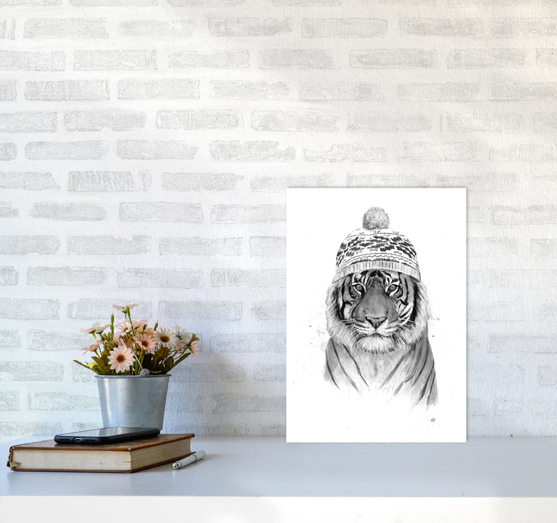 Siberian Tiger B&W Animal Art Print by Balaz Solti A3 Black Frame