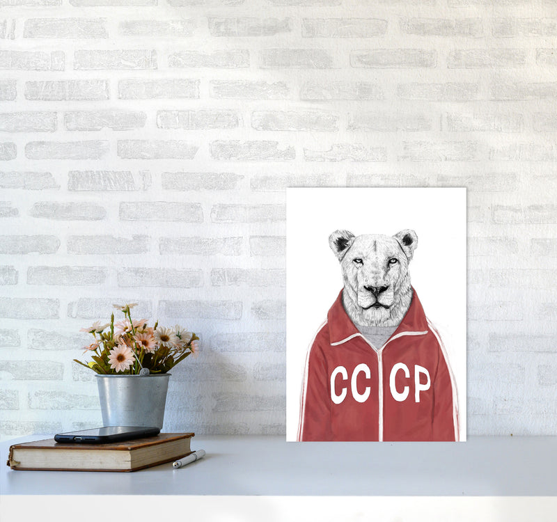 Soviet Lion Animal Art Print by Balaz Solti A3 Black Frame