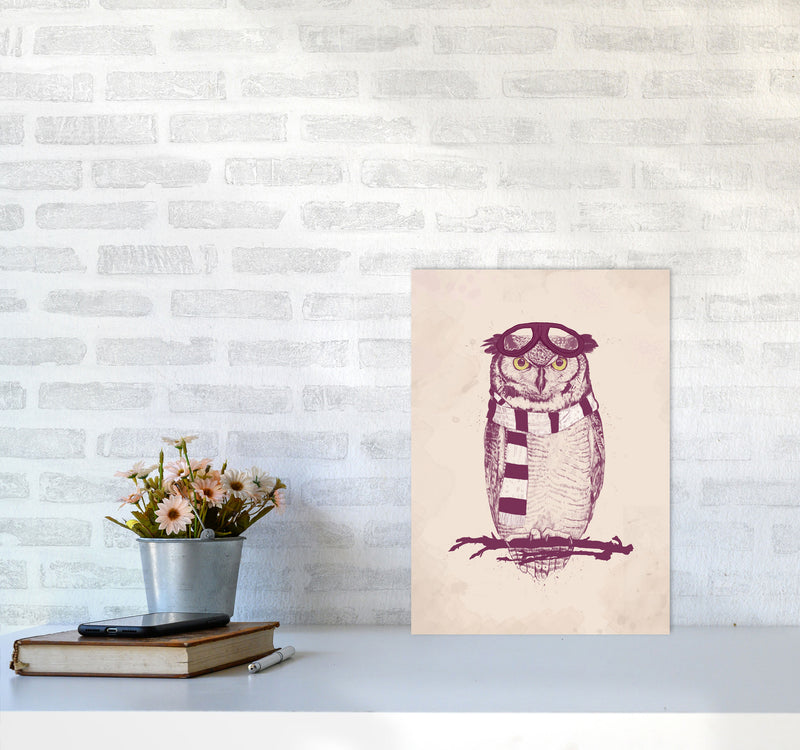 The Aviator Owl Animal Art Print by Balaz Solti A3 Black Frame