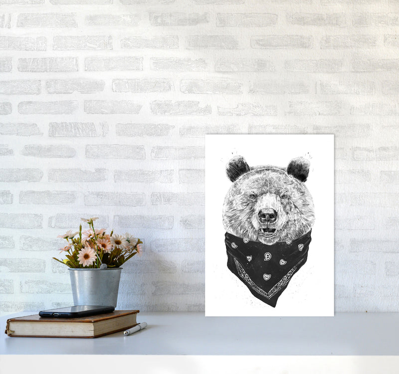 Wild Bear Animal Art Print by Balaz Solti A3 Black Frame