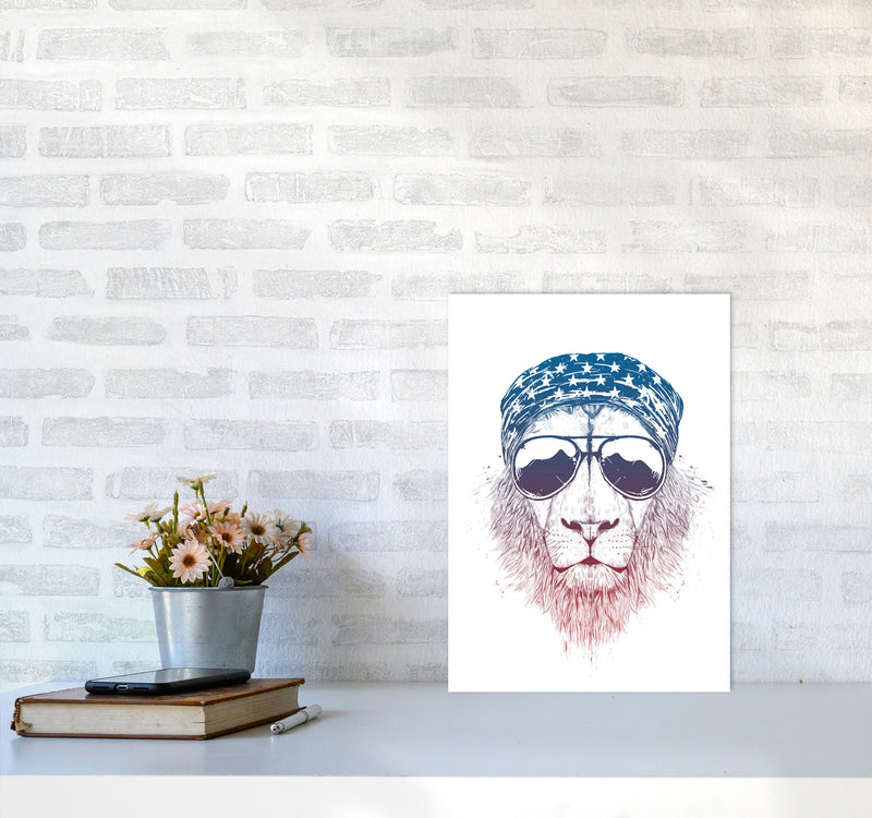 Wild Lion Colour Animal Art Print by Balaz Solti A3 Black Frame