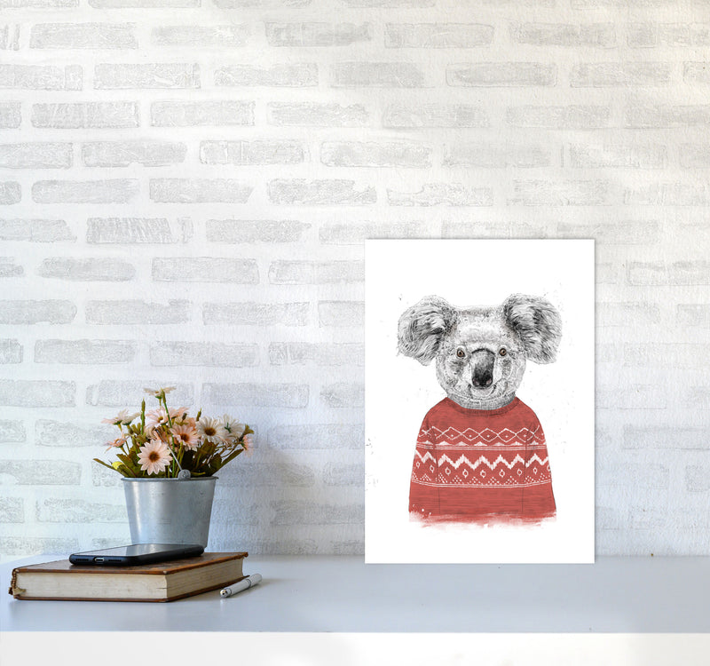 Winter Koala Red Animal Art Print by Balaz Solti A3 Black Frame