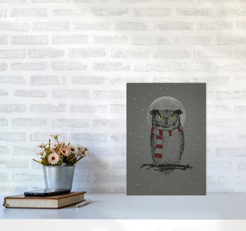 Winter Owl Animal Art Print by Balaz Solti A3 Black Frame