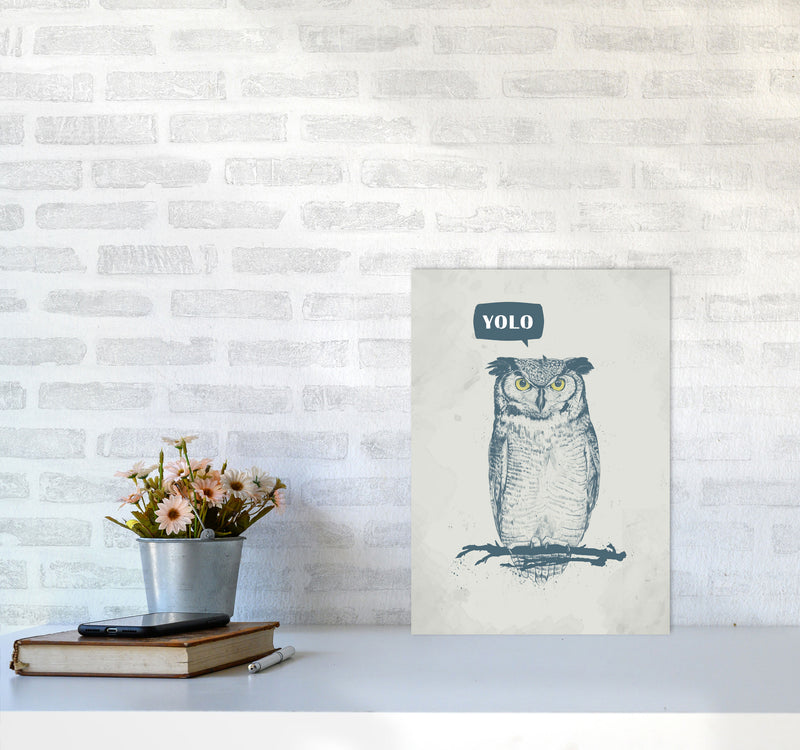 Yolo Owl Animal Art Print by Balaz Solti A3 Black Frame