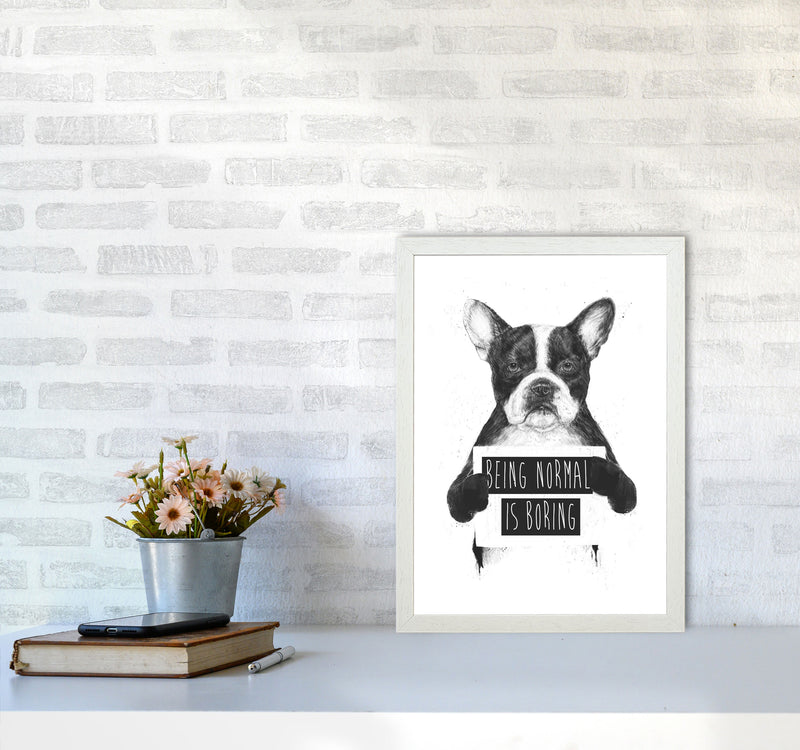 Being Normal Is Boring Animal Art Print by Balaz Solti A3 Oak Frame