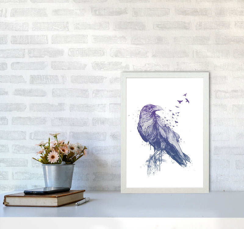 Born To Be Free Raven Animal Art Print by Balaz Solti A3 Oak Frame
