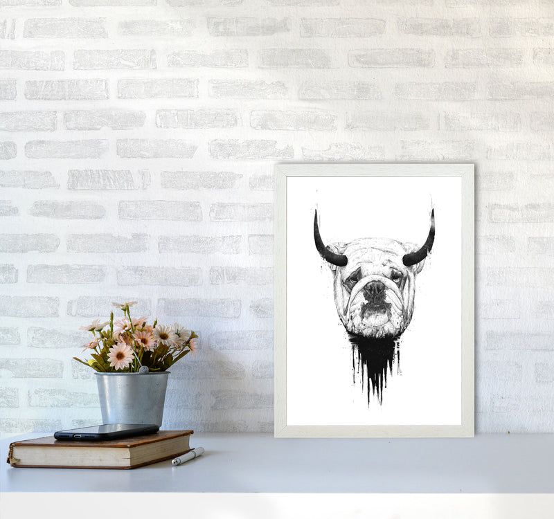 Bulldog Horns Animal Art Print by Balaz Solti A3 Oak Frame