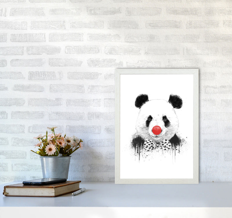 Clown Panda Animal Art Print by Balaz Solti A3 Oak Frame