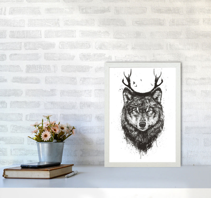 Deer Wolf B&W Animal Art Print by Balaz Solti A3 Oak Frame