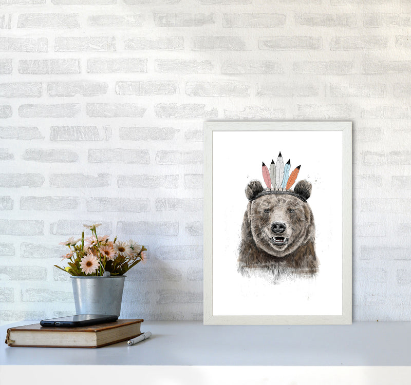 Festival Bear Animal Art Print by Balaz Solti A3 Oak Frame