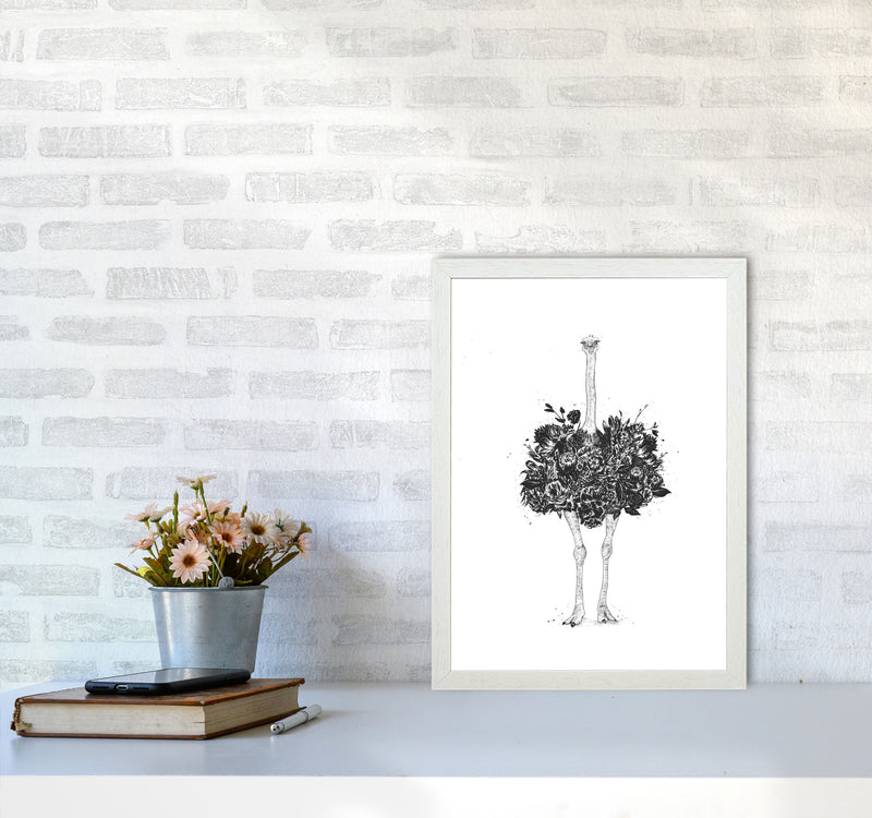 Floral Ostrich Animal Art Print by Balaz Solti A3 Oak Frame