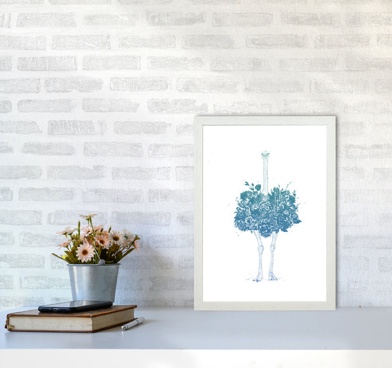 Floral Ostrich Teal Animal Art Print by Balaz Solti A3 Oak Frame