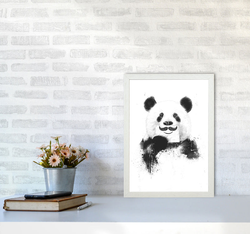 Funny Panda Animal Art Print by Balaz Solti A3 Oak Frame