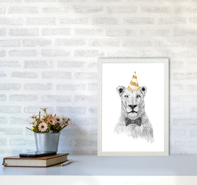 Get The Party Started Lion Colour Animal Art Print by Balaz Solti A3 Oak Frame