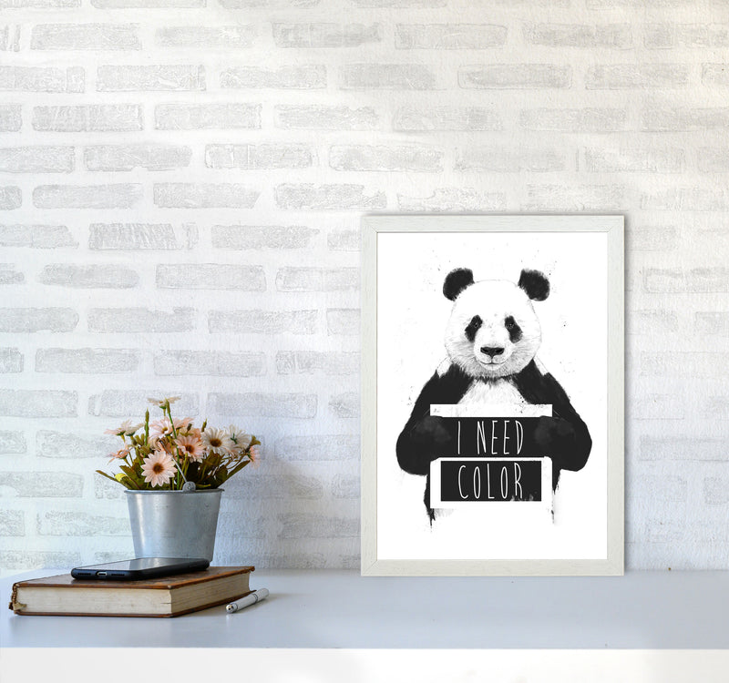 I Need Colour Panda Animal Art Print by Balaz Solti A3 Oak Frame