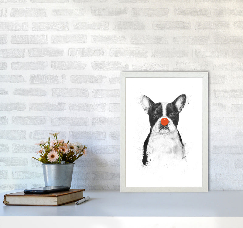 I'm Not Your Clown Bulldog Animal Art Print by Balaz Solti A3 Oak Frame