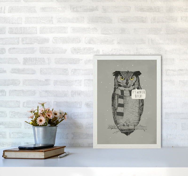 It's Winter B*tch Animal Art Print by Balaz Solti A3 Oak Frame