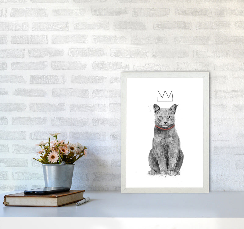 King Of Everything Animal Art Print by Balaz Solti A3 Oak Frame