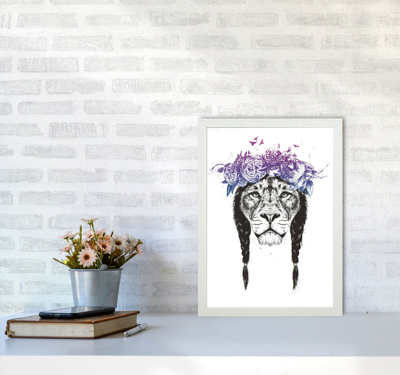 King Of Lions Animal Art Print by Balaz Solti A3 Oak Frame