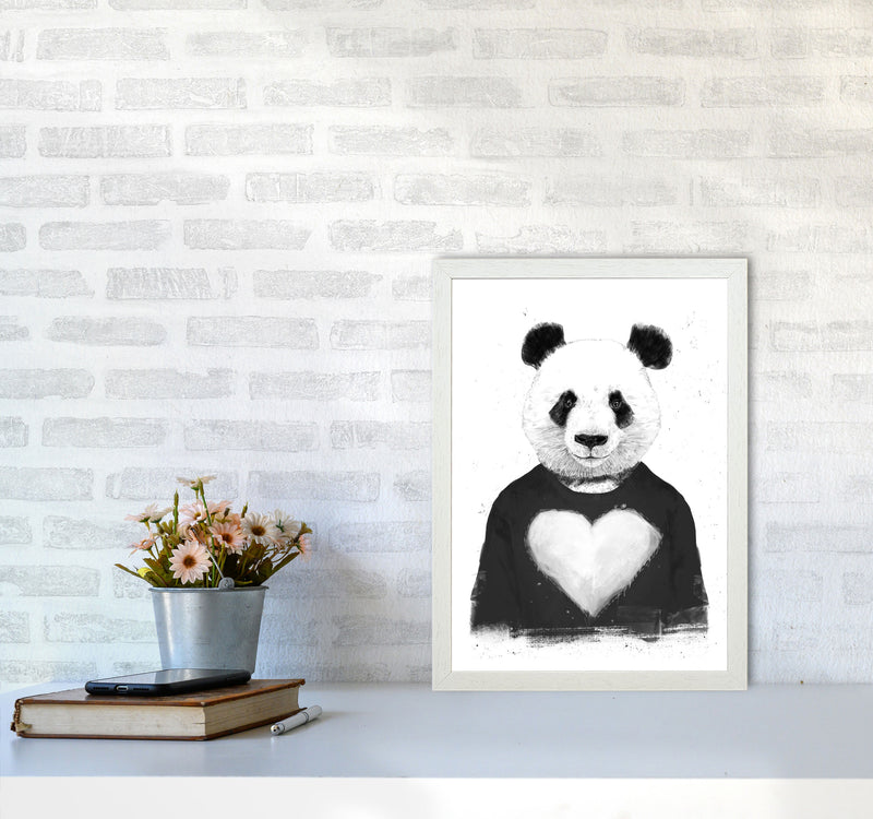 Lovely Panda Animal Art Print by Balaz Solti A3 Oak Frame