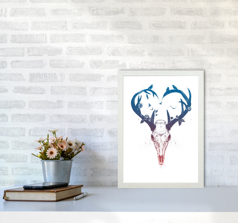 Never-ending Love Deer Skull Animal Art Print by Balaz Solti A3 Oak Frame