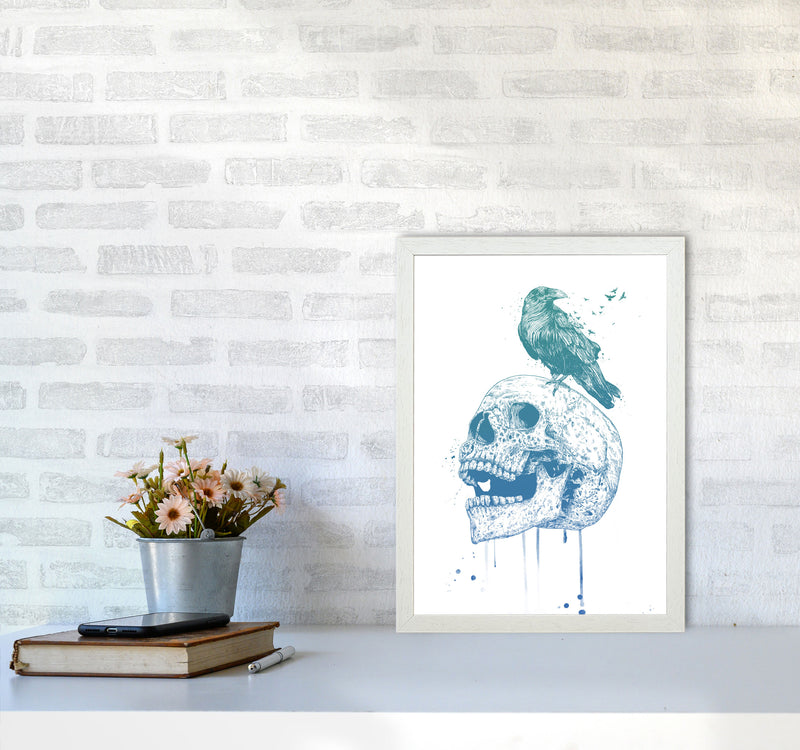 Skull & Raven Colour Animal Art Print by Balaz Solti A3 Oak Frame