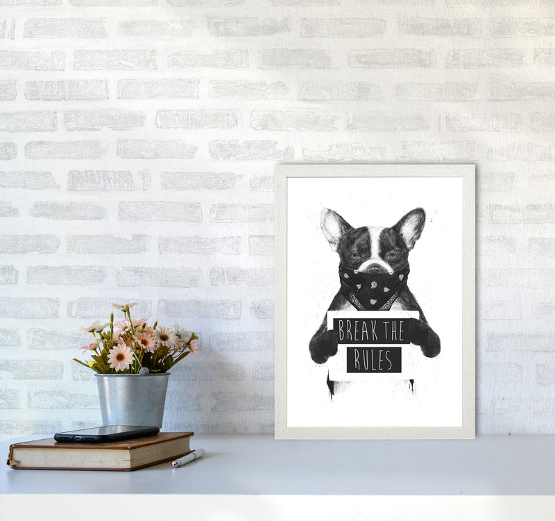 Rebel Bulldog Animal Art Print by Balaz Solti A3 Oak Frame