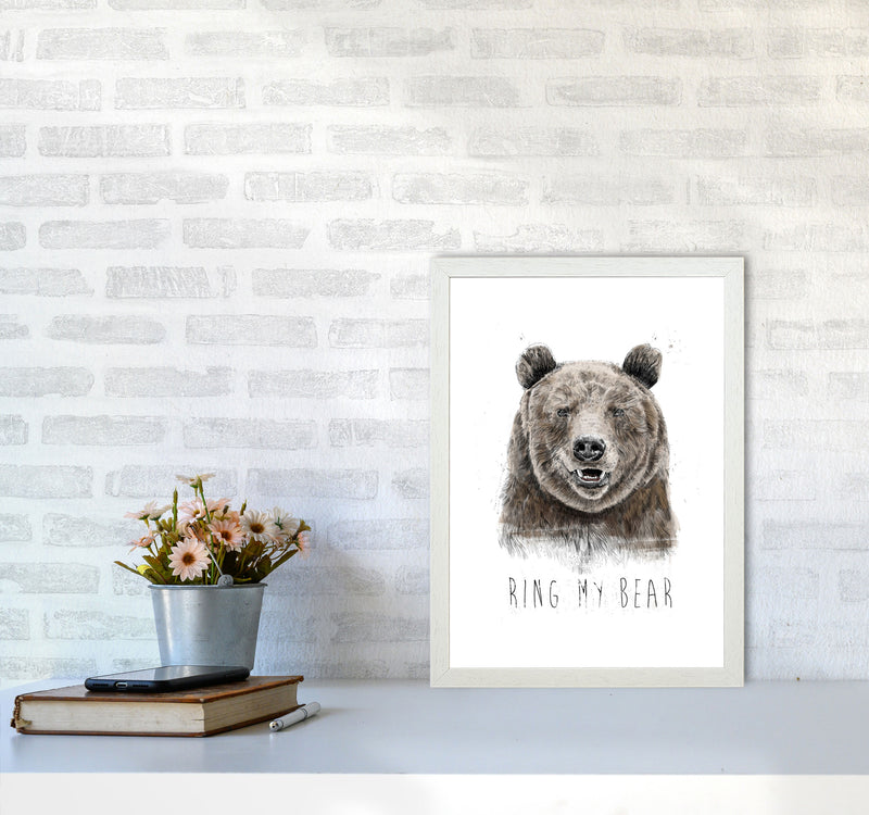 Ring My Bear Animal Art Print by Balaz Solti A3 Oak Frame