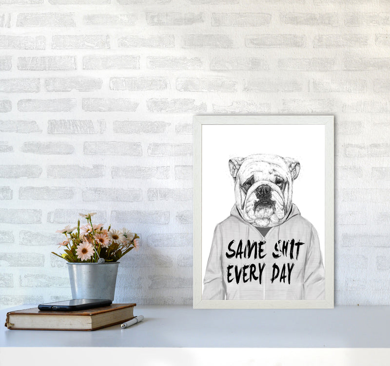 Same Sh*t Everyday Bulldog Animal Art Print by Balaz Solti A3 Oak Frame