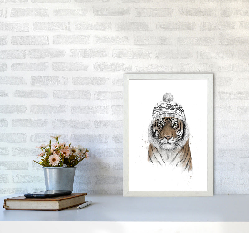 Siberian Tiger Animal Art Print by Balaz Solti A3 Oak Frame