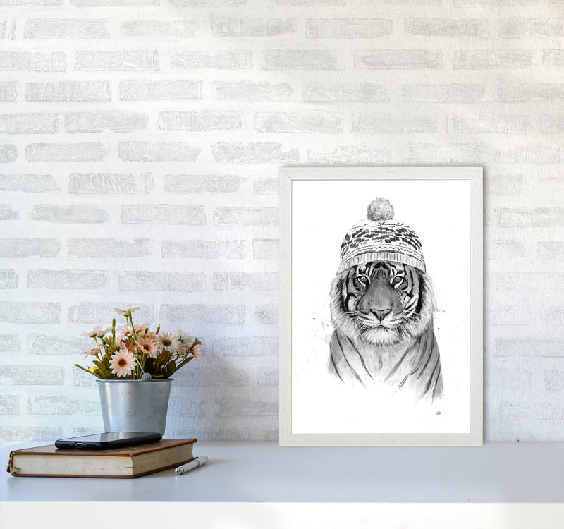 Siberian Tiger B&W Animal Art Print by Balaz Solti A3 Oak Frame
