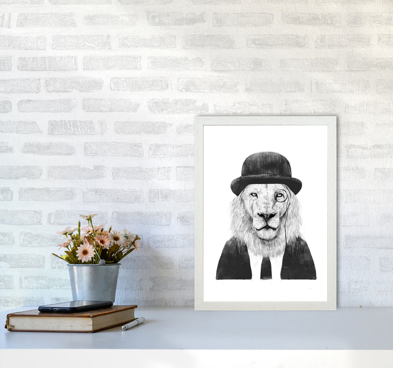 Sir Lion Animal Art Print by Balaz Solti A3 Oak Frame