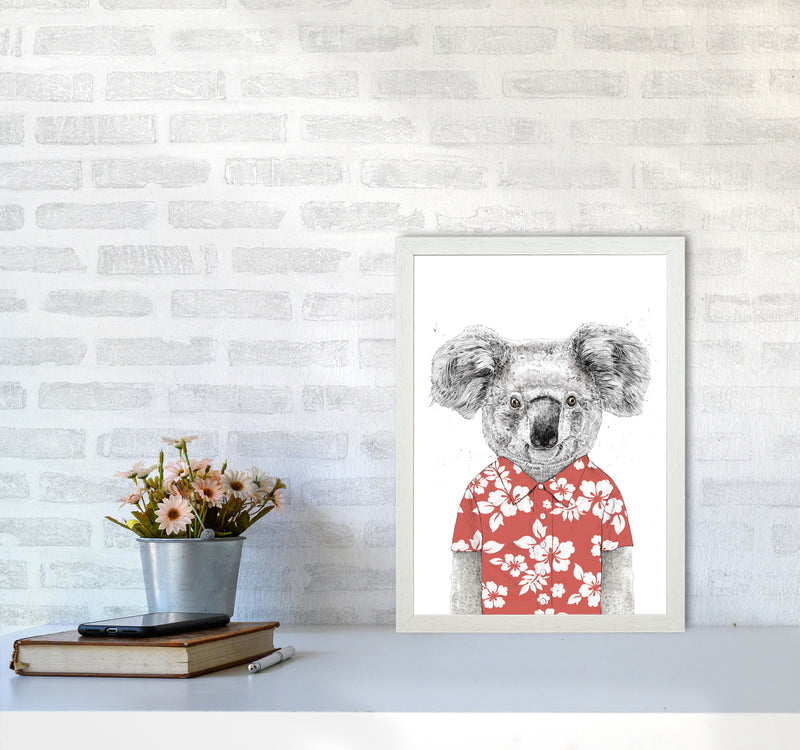 Summer Koala Red Animal Art Print by Balaz Solti A3 Oak Frame