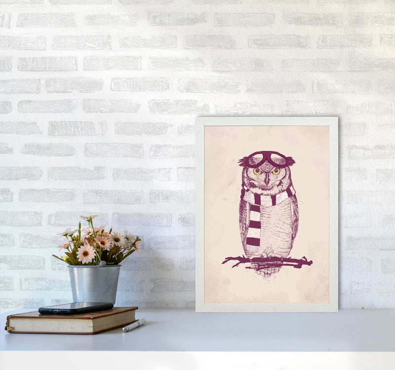 The Aviator Owl Animal Art Print by Balaz Solti A3 Oak Frame