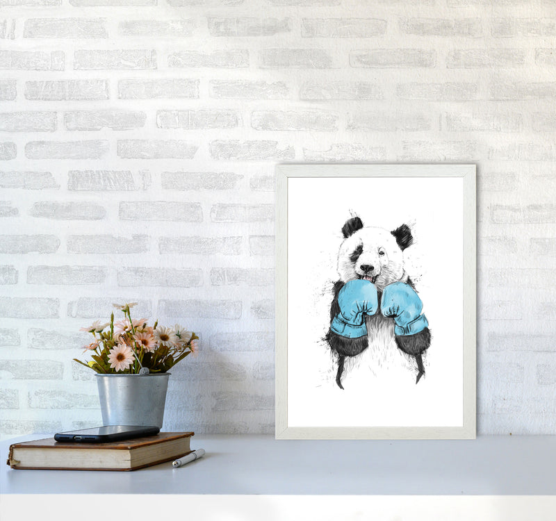 The Winner Boxing Panda Animal Art Print by Balaz Solti A3 Oak Frame