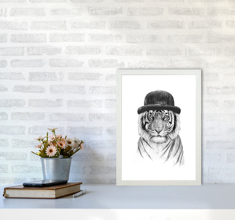 Welcome To The Jungle Tiger Animal Art Print by Balaz Solti A3 Oak Frame