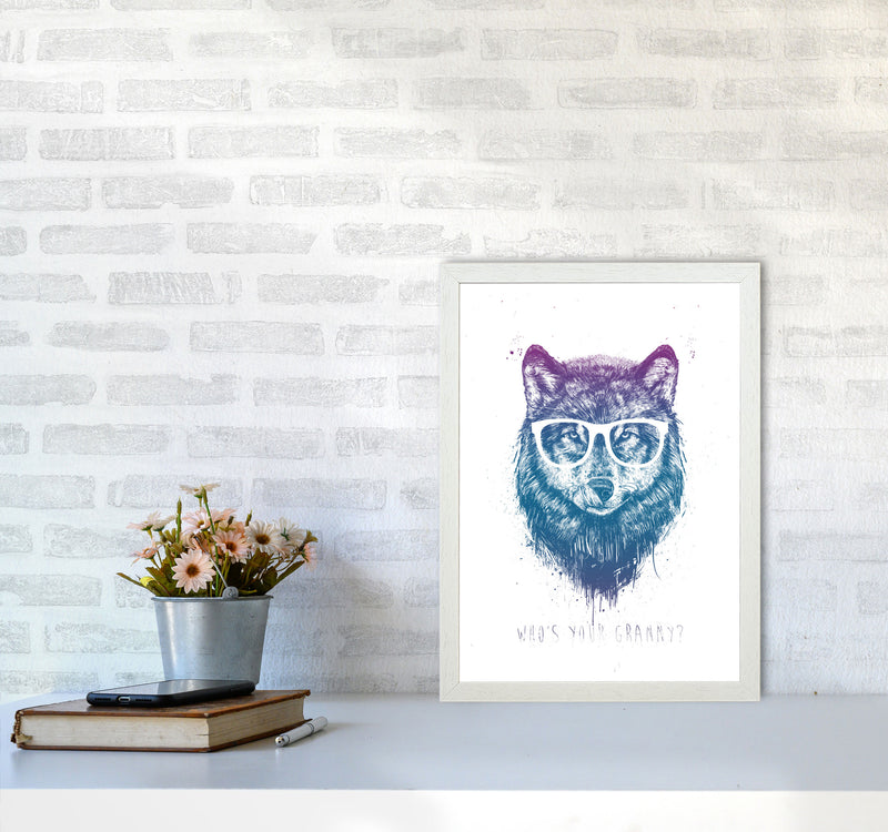 Who's Your Granny? Wolf Colour Animal Art Print by Balaz Solti A3 Oak Frame
