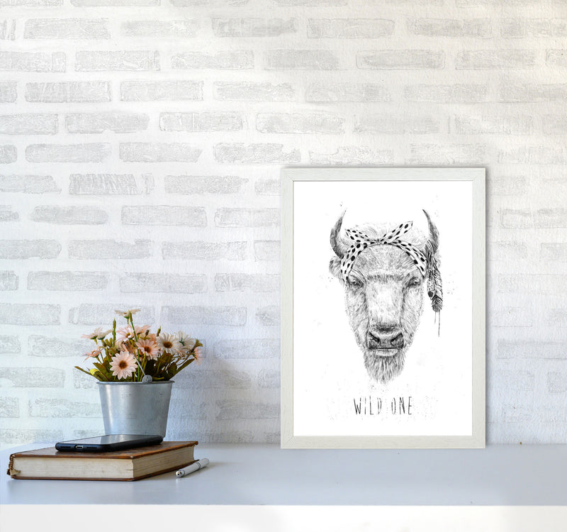 Wild One Buffalo Animal Art Print by Balaz Solti A3 Oak Frame