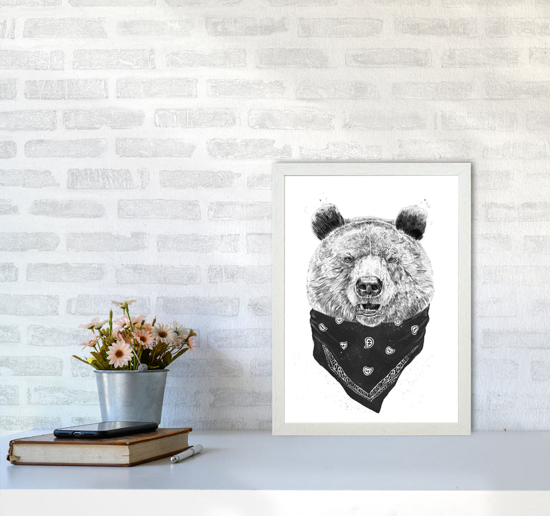 Wild Bear Animal Art Print by Balaz Solti A3 Oak Frame