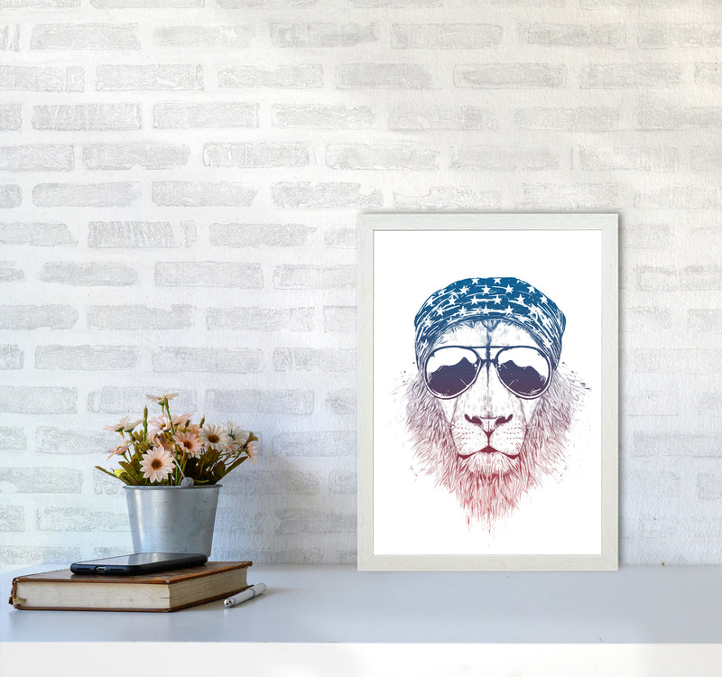 Wild Lion Colour Animal Art Print by Balaz Solti A3 Oak Frame