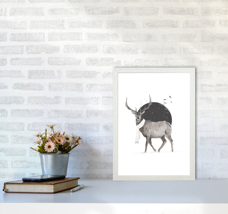 Winter Is All Around Stag Colour Animal Art Print by Balaz Solti A3 Oak Frame