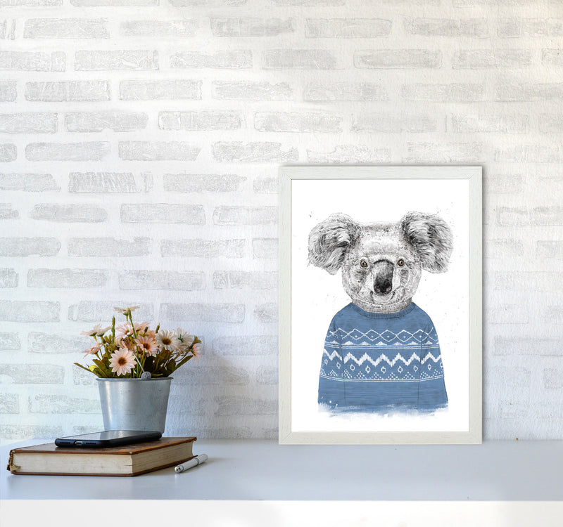 Winter Koala Blue Animal Art Print by Balaz Solti A3 Oak Frame