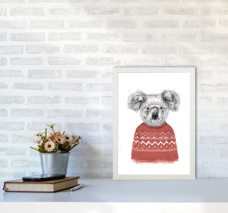 Winter Koala Red Animal Art Print by Balaz Solti A3 Oak Frame