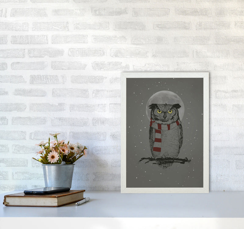 Winter Owl Animal Art Print by Balaz Solti A3 Oak Frame
