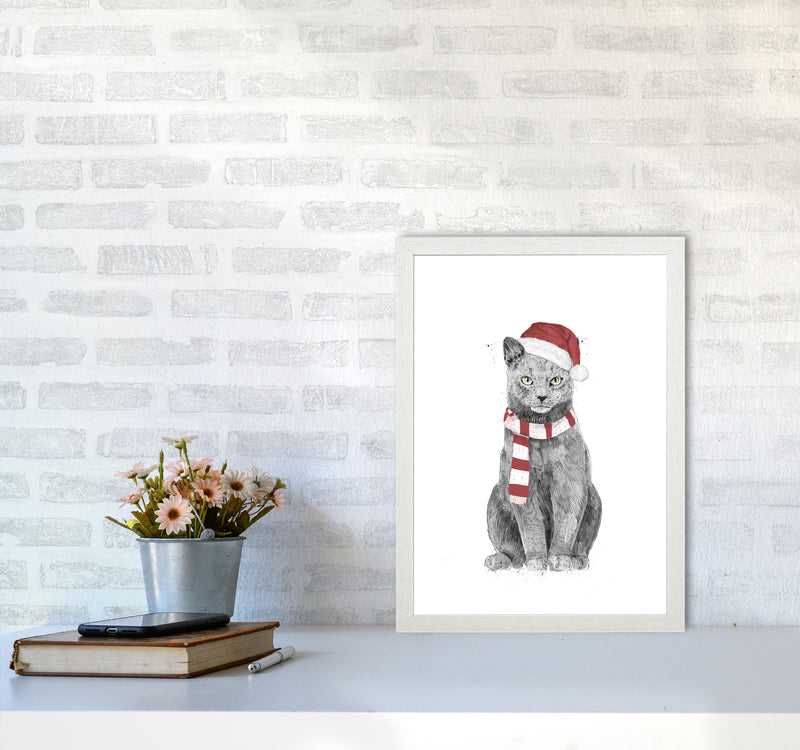 Christmas Cat Animal Art Print by Balaz Solti A3 Oak Frame
