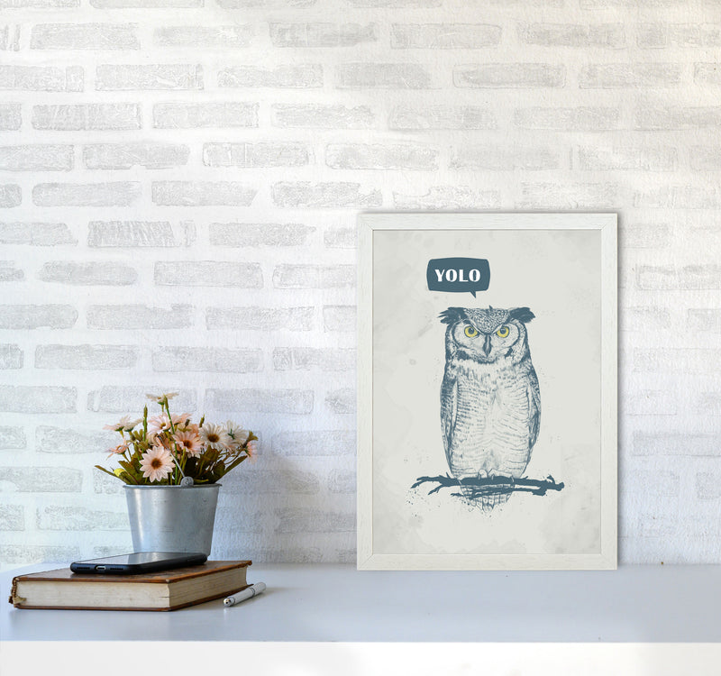 Yolo Owl Animal Art Print by Balaz Solti A3 Oak Frame