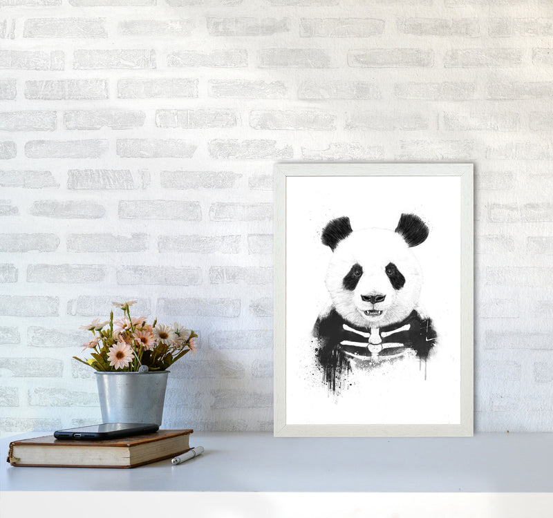 Zombie Panda Animal Art Print by Balaz Solti A3 Oak Frame