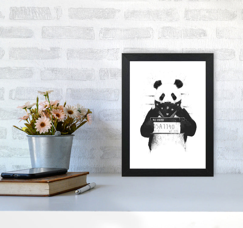 Bad Panda Animal Art Print by Balaz Solti A4 White Frame